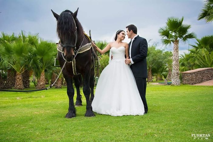 Sesión de fotos "el día de la boda" - 2