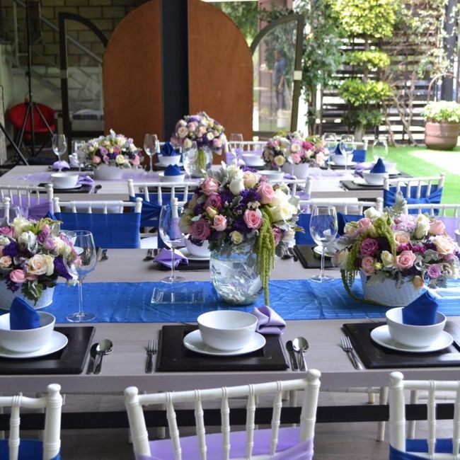 Ayuda.. recepción en casa o jardín 1