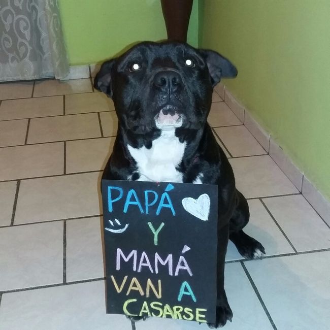 ¡Mi bebé dio la noticia!