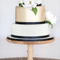 Novia de fuego, aire, tierra o agua - silvia - 11