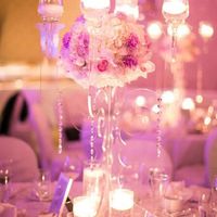 Novia de fuego, aire, tierra o agua - silvia - 14