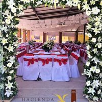 LES DEJO UN POCO DE LO QUE FUE MI GRAN Y TERRIBLE DÍA 