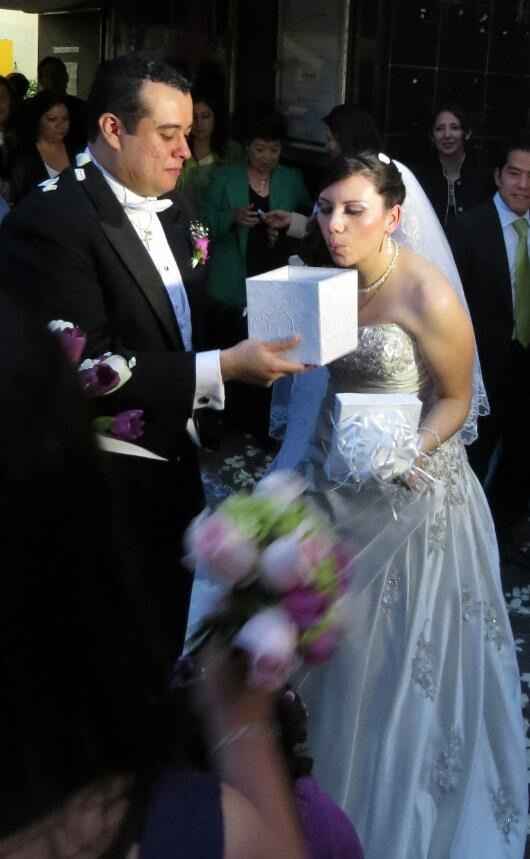 Mariposas!!