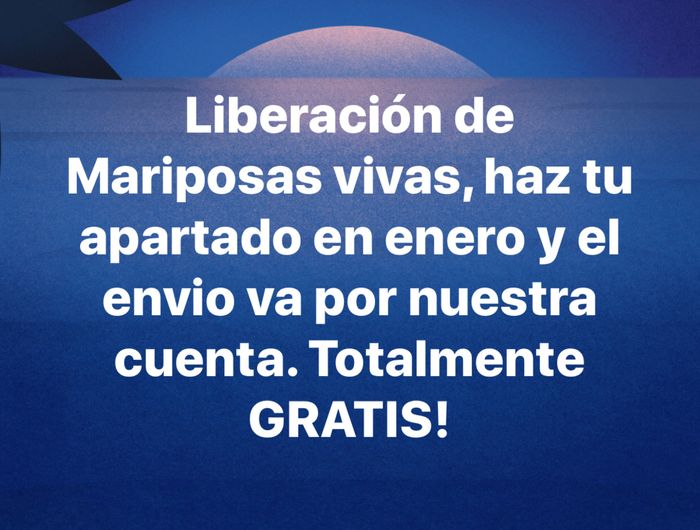  Liberación de Mariposas vivas para boda 😟😟 - 1