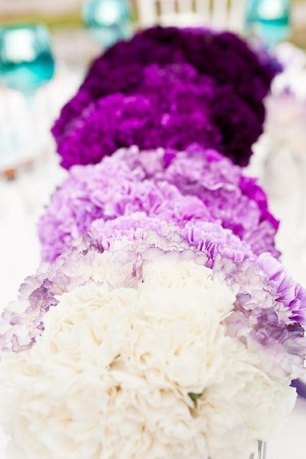 Color de flores para la boda