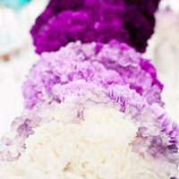 Color de flores para la boda