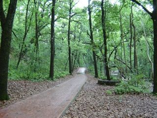 Parque la Estanzuela