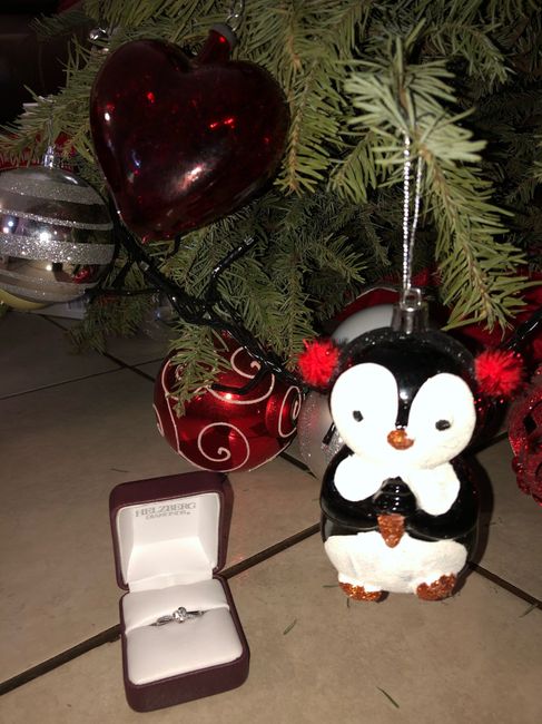 Mi anillo de compromiso, Michaelle - 1