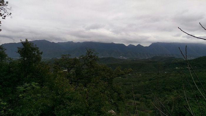 Luna de miel fria - 3