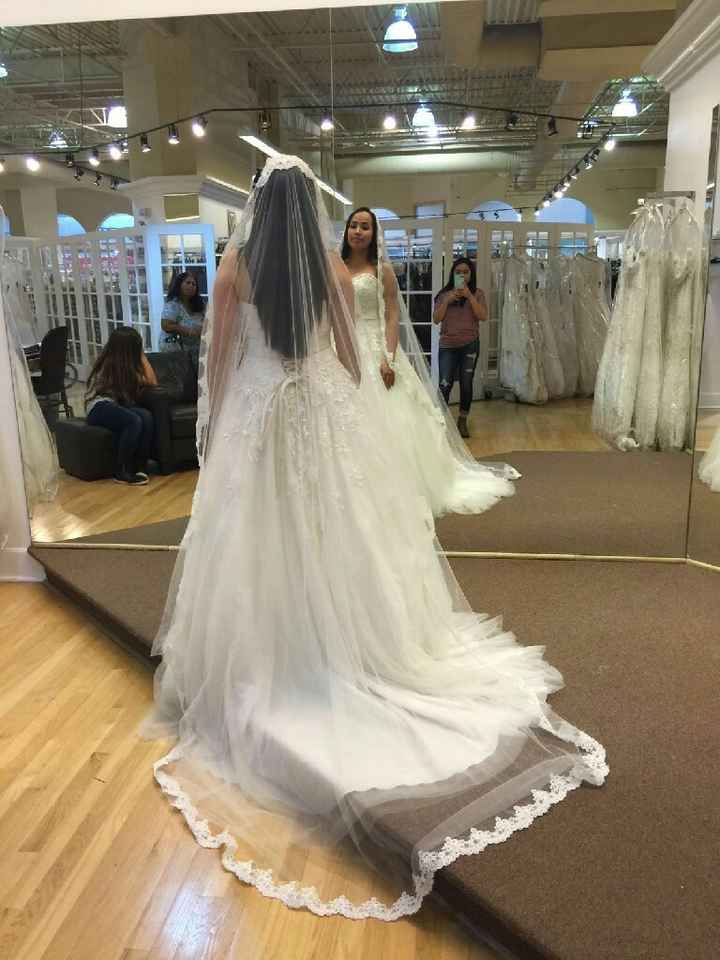 Velo de novia sencillo o elegante - 1