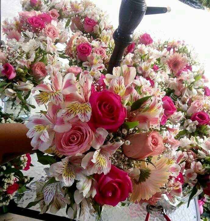 Cual de los 3??? - 1