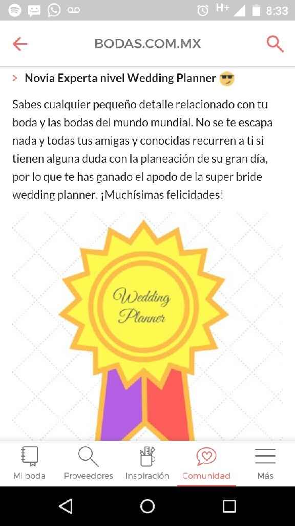 Mi nivel de bodas es novia experta wedding planner - 1