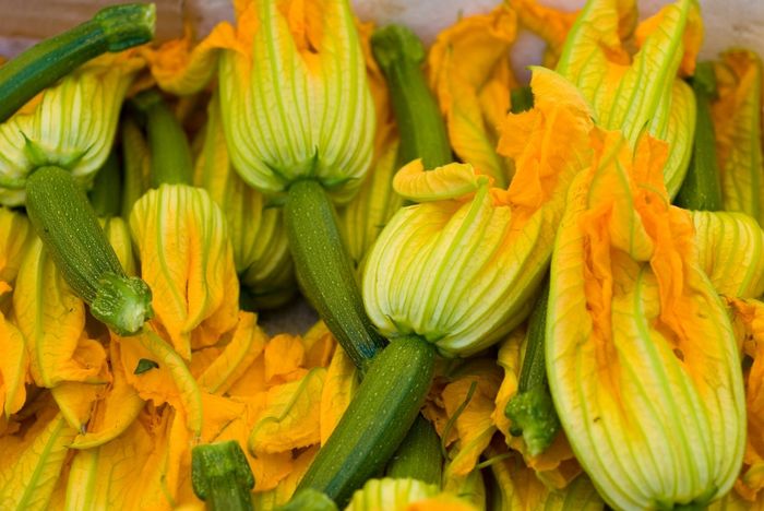 flor de calabaza
