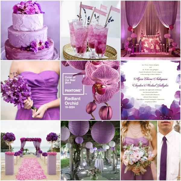 Pantone 18-3224 el color elegido - 2