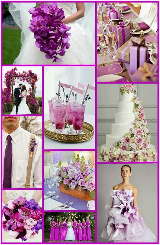 Pantone 18-3224 el color elegido - 3