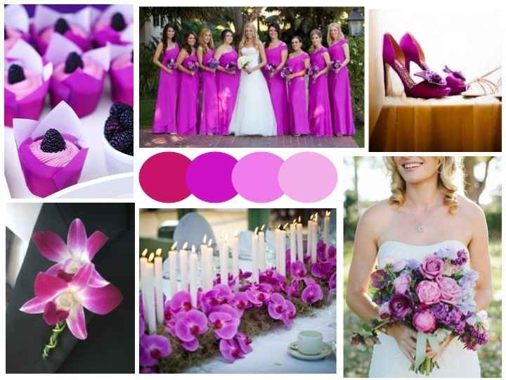 Pantone 18-3224 el color elegido - 5