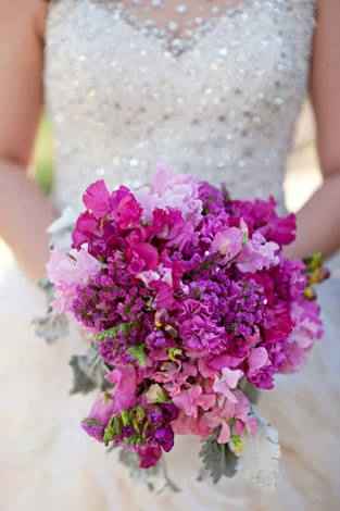 Pantone 18-3224 el color elegido - 7