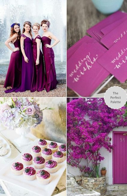 Pantone 18-3224 el color elegido - 6