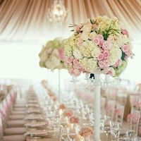 Centros de mesa con peces - 1