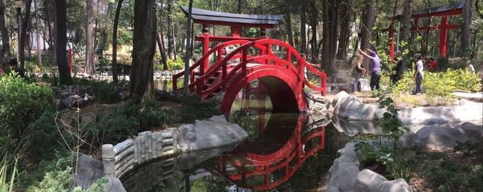 Save the Date: Jardín Japonés - 2
