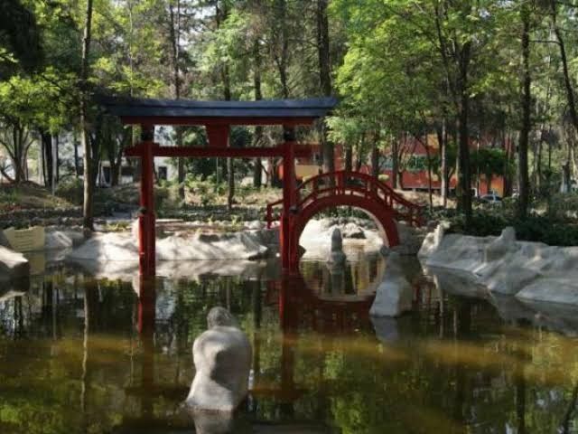 Save the Date: Jardín Japonés - 3