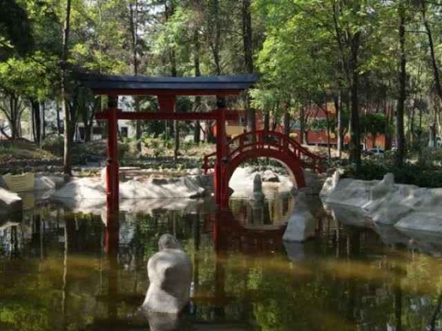 Save the Date: Jardín Japonés - 3