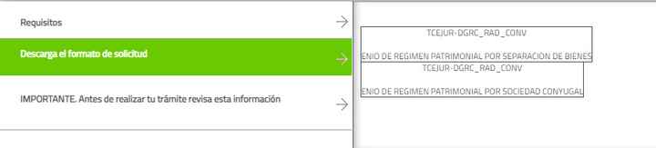 Descarga formatos régimen patrimonial