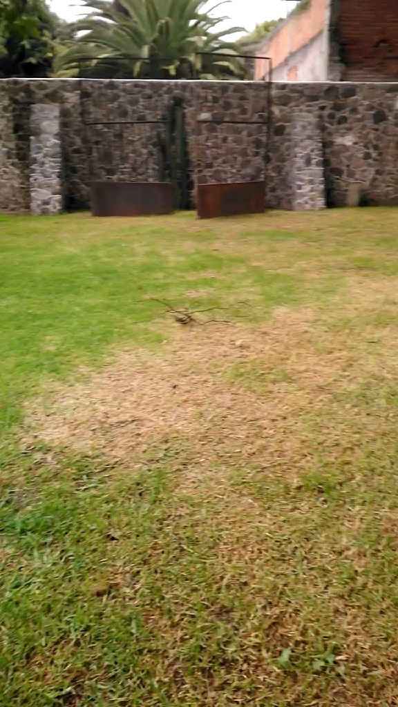 Scouting de Lugares:jardín Ixpanco - 3