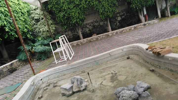 Scouting de Lugares:jardín Ixpanco - 8