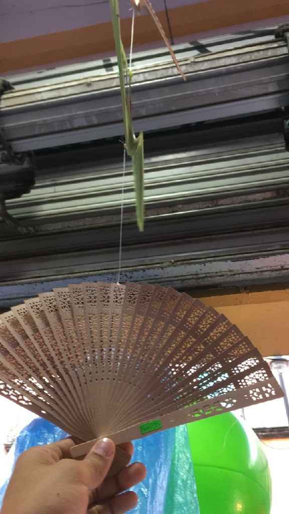 Abanicos - 1