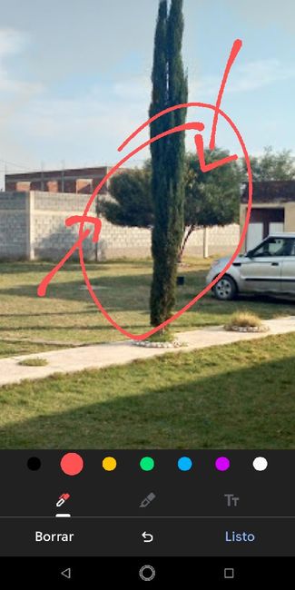 ¿Ya tienes salón, jardín, hacienda para tu boda? ¡Comparte la imagen! 31