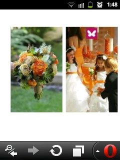 El color de mi boda - 6