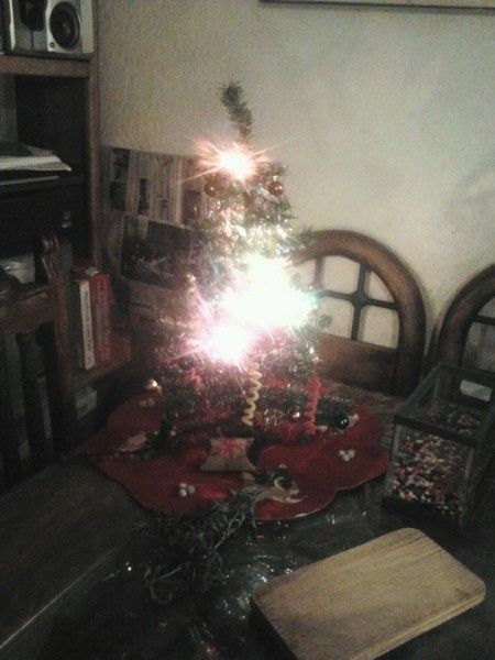 Nuestro arbolito de navidad