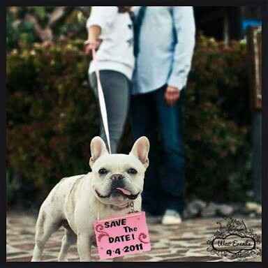 Mascotas! - 3