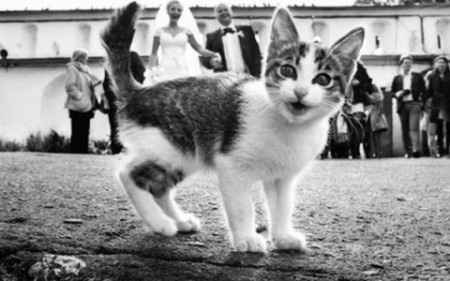 Las fotos de boda más horribles de la historia 15