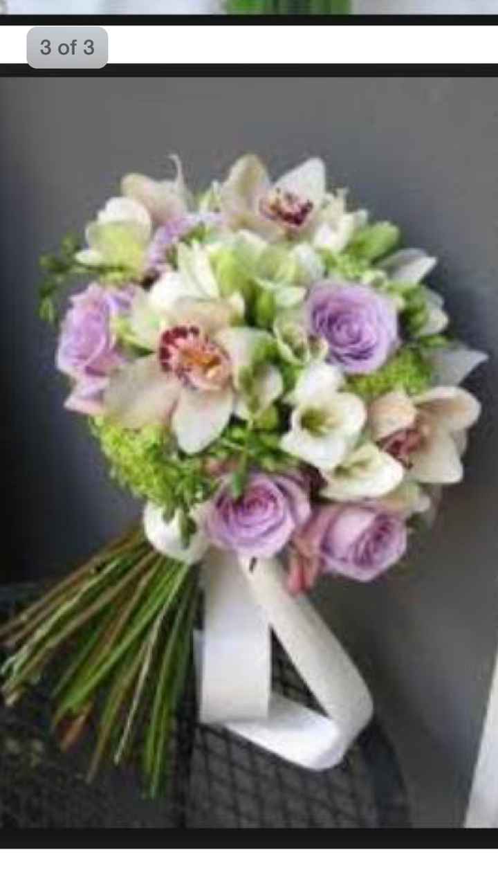 El moradito coqueton