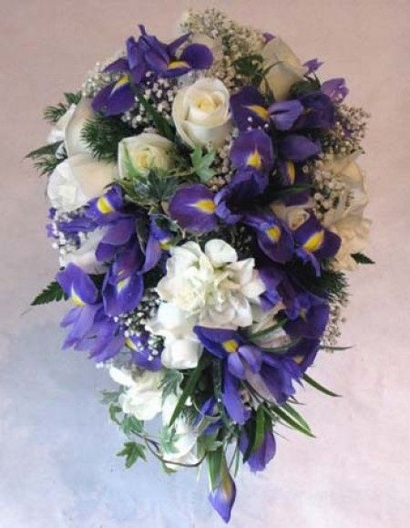 BLANCO Y MORADO