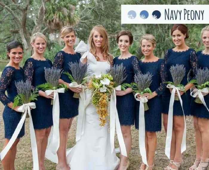 Navy 4