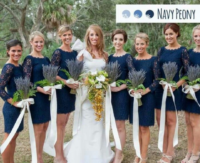 Navy 4