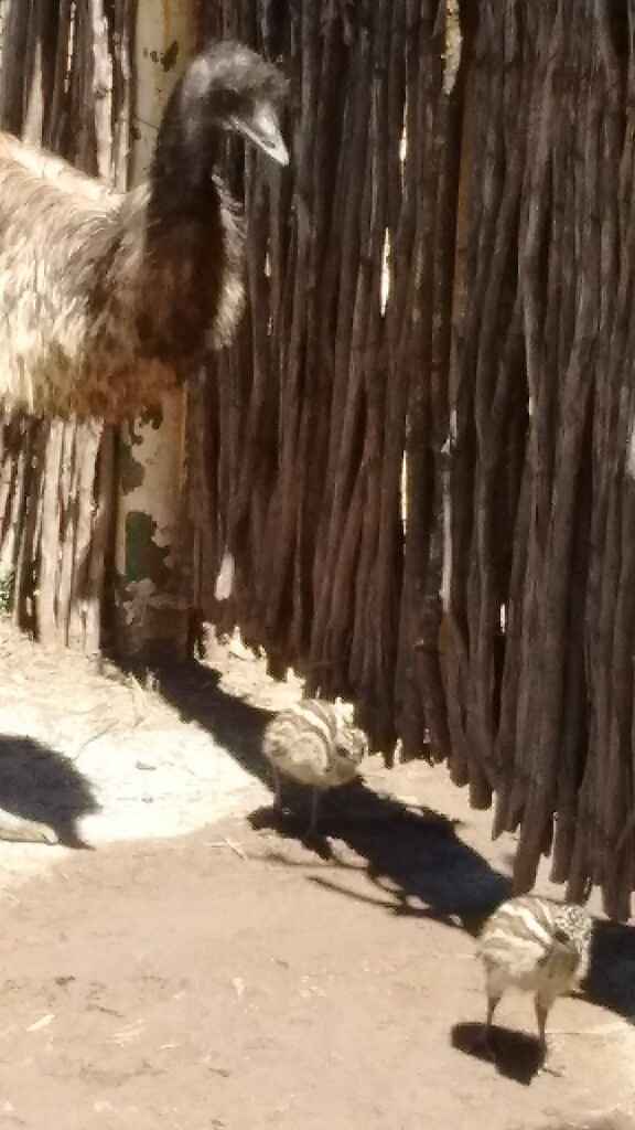 Vamos a jugar un rato - 1