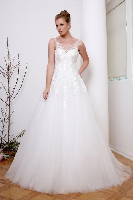 Se ofrece venue, foto y vestido nuevo para boda 14-nov-20. - 1
