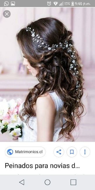 Comparte tu accesorio de pelo 1