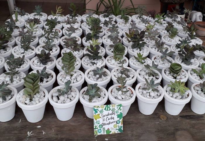 Ayuda para recuerditos para la boda 5