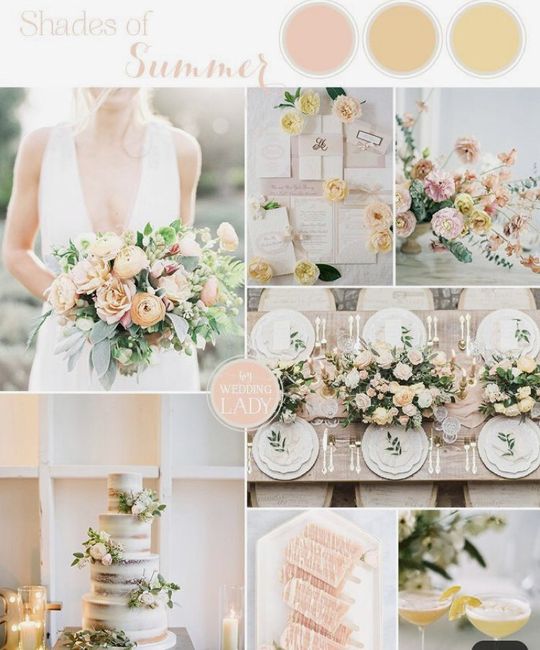 Colores 👩‍🎨 16