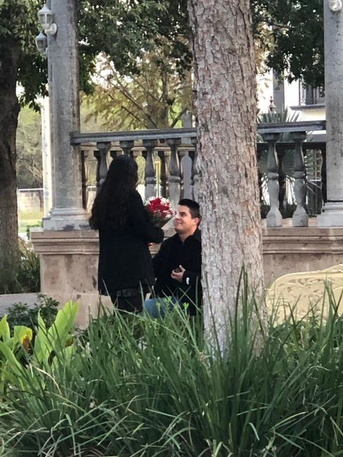 Propuestas de matrimonio curiosas 💍 8