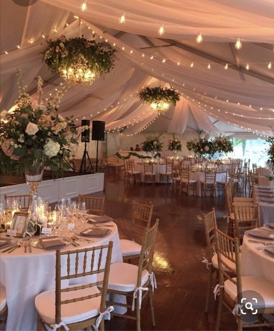 Que tipo de carpa me recomiendan ??? 4