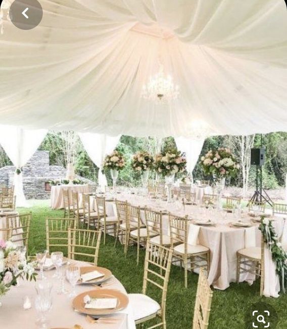 Que tipo de carpa me recomiendan ??? 5