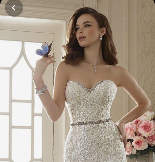 Ayudaa! ¿Qué accesorios usar? 1