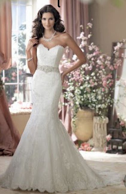 Ayudaa! ¿Qué accesorios usar? 5