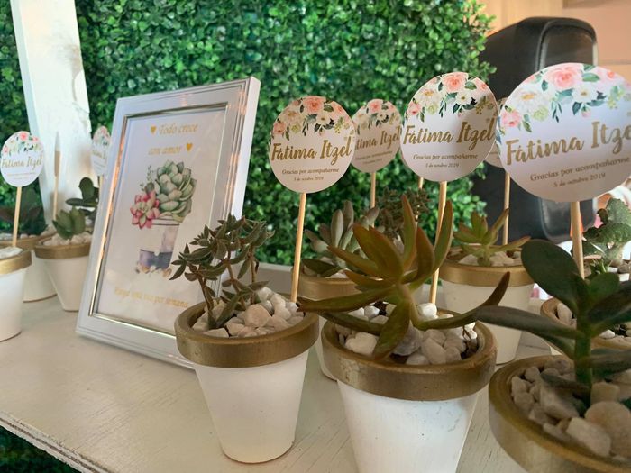 Recuerdos de boda: suculentas 32